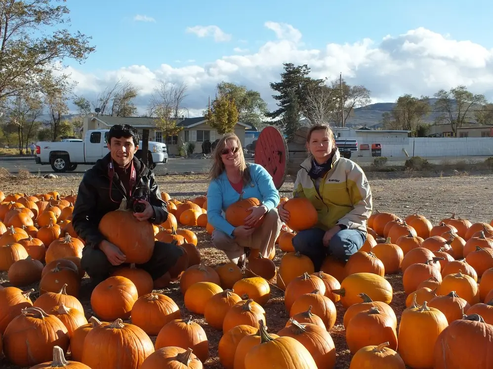 Matrix English for you foto 6